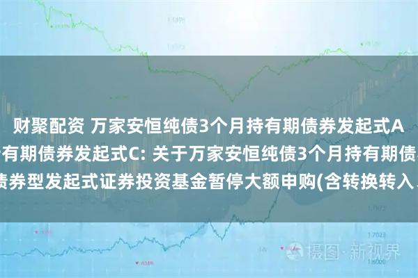 财聚配资 万家安恒纯债3个月持有期债券发起式A,万家安恒纯债3个月持有期债券发起式C: 关于万家安恒纯债3个月持有期债券型发起式证券投资基金暂停大额申购(含转换转入、定期定额投资业务)的公告